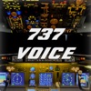 737 Voice - Aural Warnings icon