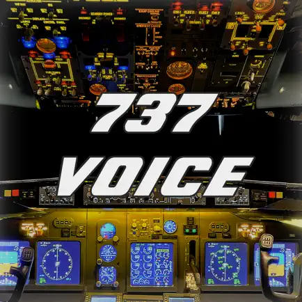 737 Voice - Aural Warnings Читы