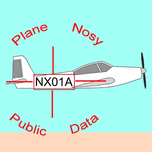 Plane Nosy icon