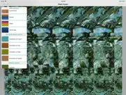 stereoimages iPad Captures Décran 2