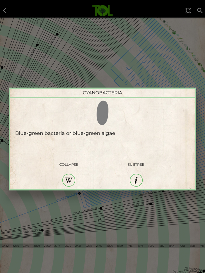 Tree of Life - ToL App