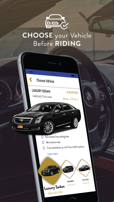Black Car Lux Chauffeur Servic Screenshot
