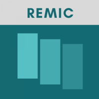 REMIC Exam Flashcards