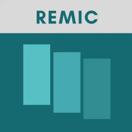 REMIC Exam Flashcards Cheats