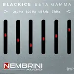Blackice Beta Gamma App Support