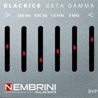 Blackice Beta Gamma logo