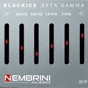 Blackice Beta Gamma app download