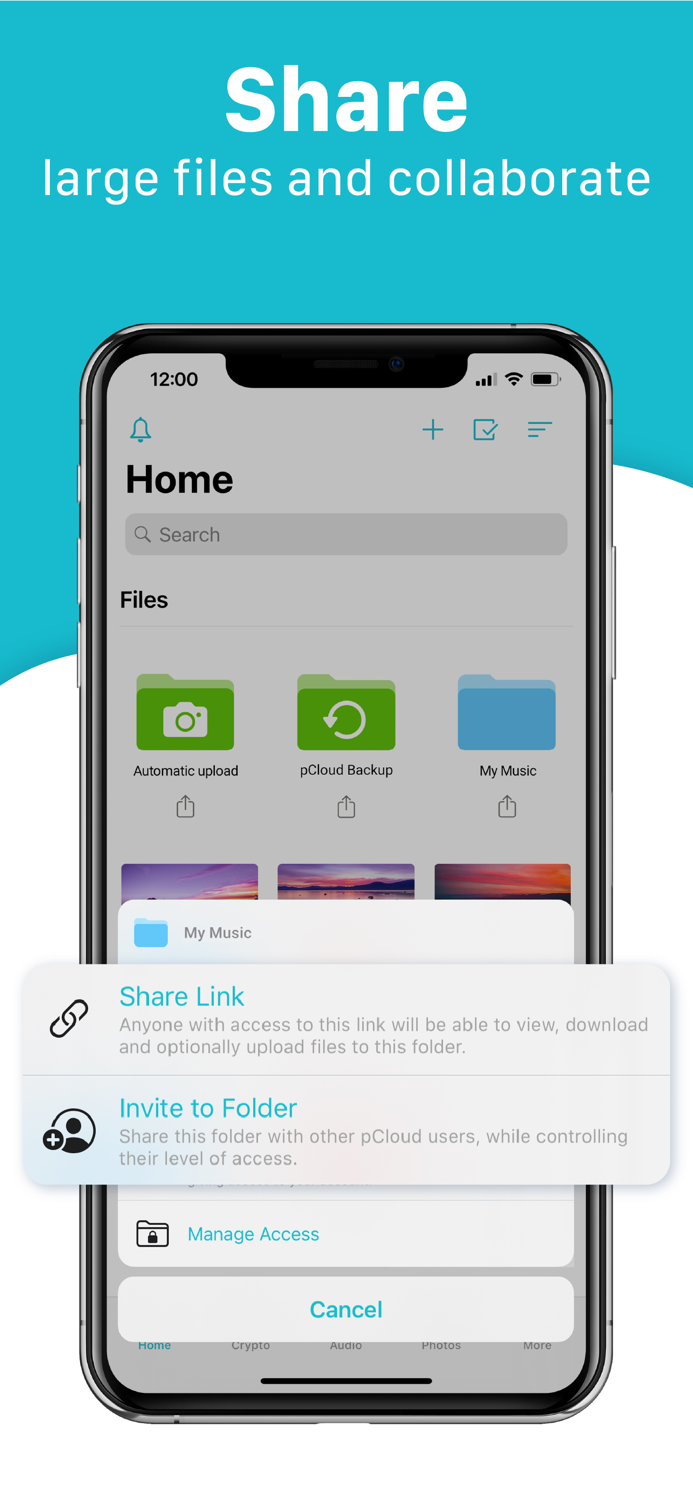 pCloud - Cloud Storage