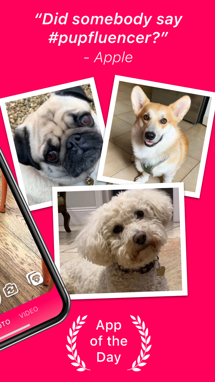 DogCam - Dog Selfie Camera