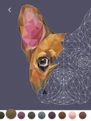polygo - lowpoly coloring book айпад изображения 4