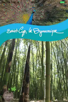Game screenshot St Cyp Aventure mod apk