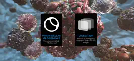 Game screenshot Random42 VR mod apk