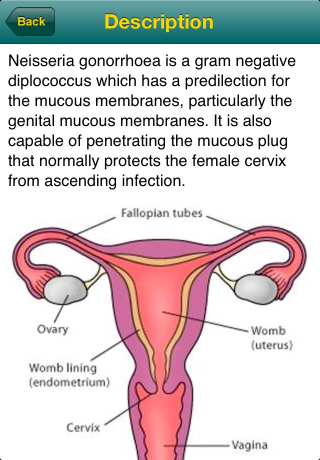 Your Rapid Diagnosis - STD screenshot 4