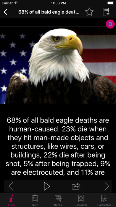 Screenshot #1 pour Amazing Eagles Facts 1800