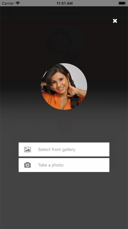Vitrine wA screenshot-5