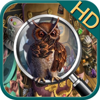 Hidden Objects  Owl Mystery