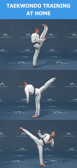 Game screenshot Mastering Taekwondo Training apk