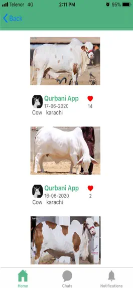 Game screenshot Qurbani App apk