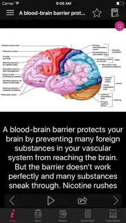 human brain facts & quiz 2000 problems & solutions and troubleshooting guide - 1