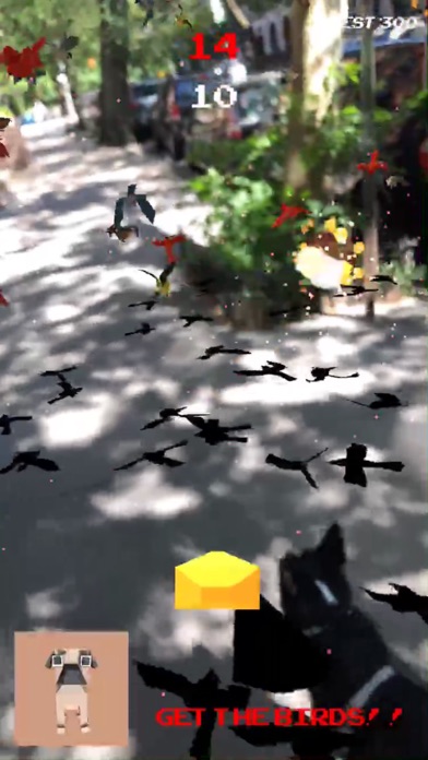 OMG! BIRDS! screenshot 4