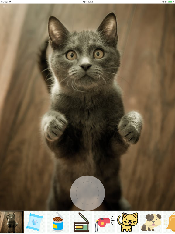 Screenshot #5 pour My awesome Pet Shots