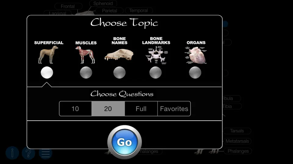 Dog Anatomy: Canine 3D iPhone Screenshot 5
