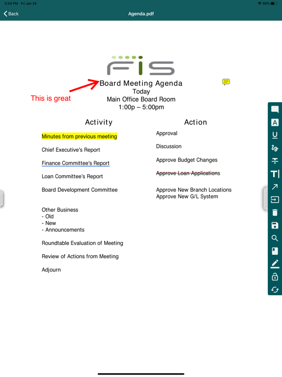 Director Access iPad screenshot 4 - Business app