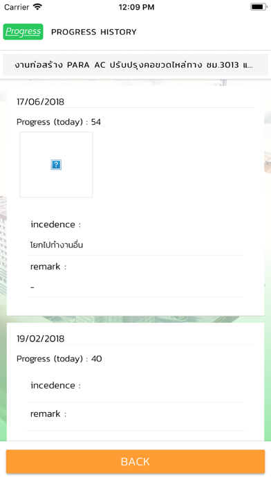 Project Progress screenshot 2