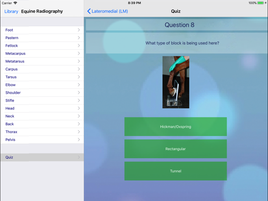 Equine Radiography iPad app afbeelding 4