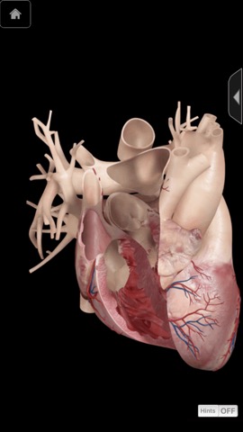 3D4Medical Body Systems for iPhoneのおすすめ画像9