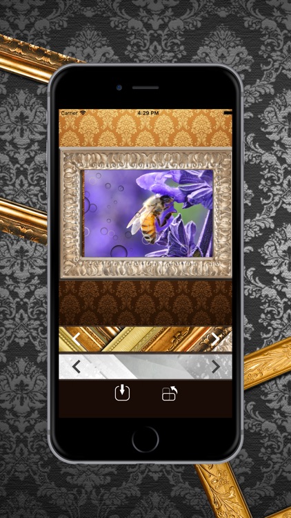 Frames - Photo Frame