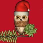 Download Rocky Owl's Christmas Story app