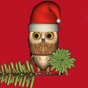 Rocky Owl's Christmas Story app download