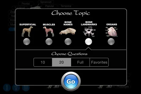 Dog Anatomy: Canine 3D
