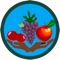 The PMPWorker is the mobile application companion to the MSU Pesticide Management Program (PMP) web site