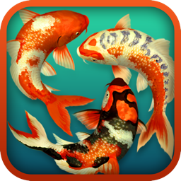 Ícone do app Koi Pond 3D