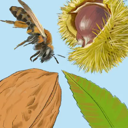 BIODIVERS Cheats