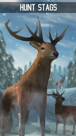 Game screenshot Wild West Jungle Animal Hunt apk