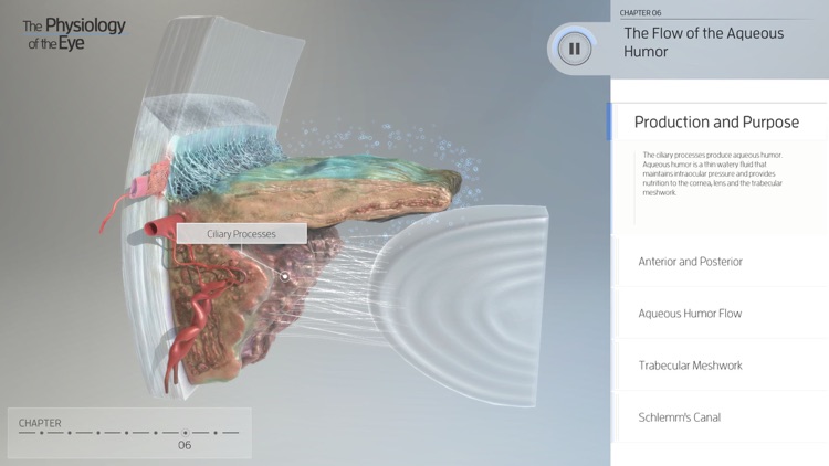 The Physiology of the Eye