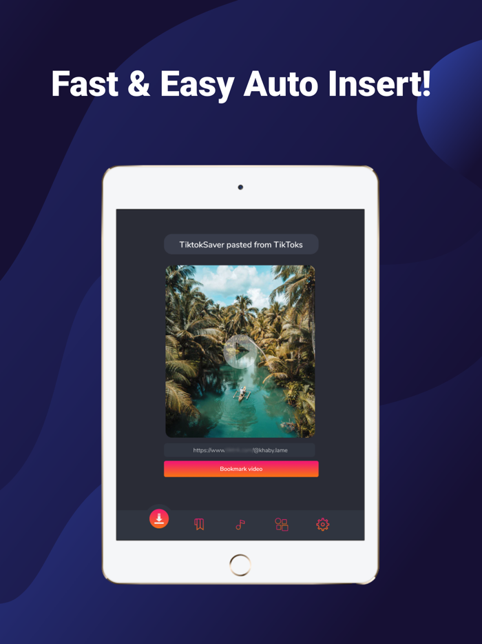 SaveTiks Video Manager
