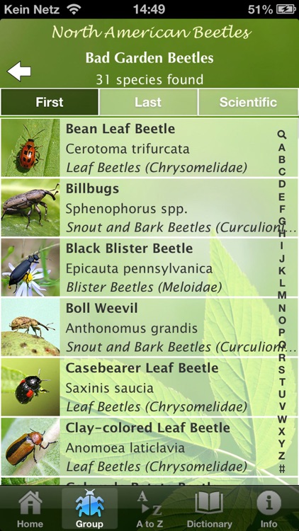 North American Beetles