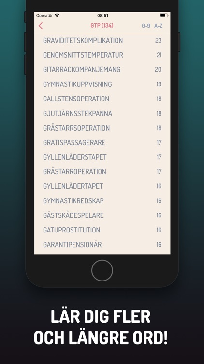 Ordjakten 2 screenshot-3