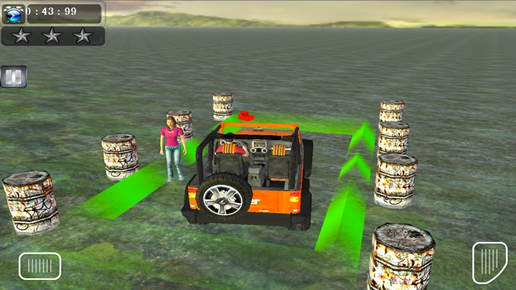 4X4 Offroad Pick and Drop