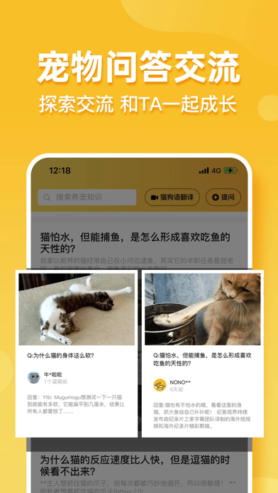 LookingPet Screenshot