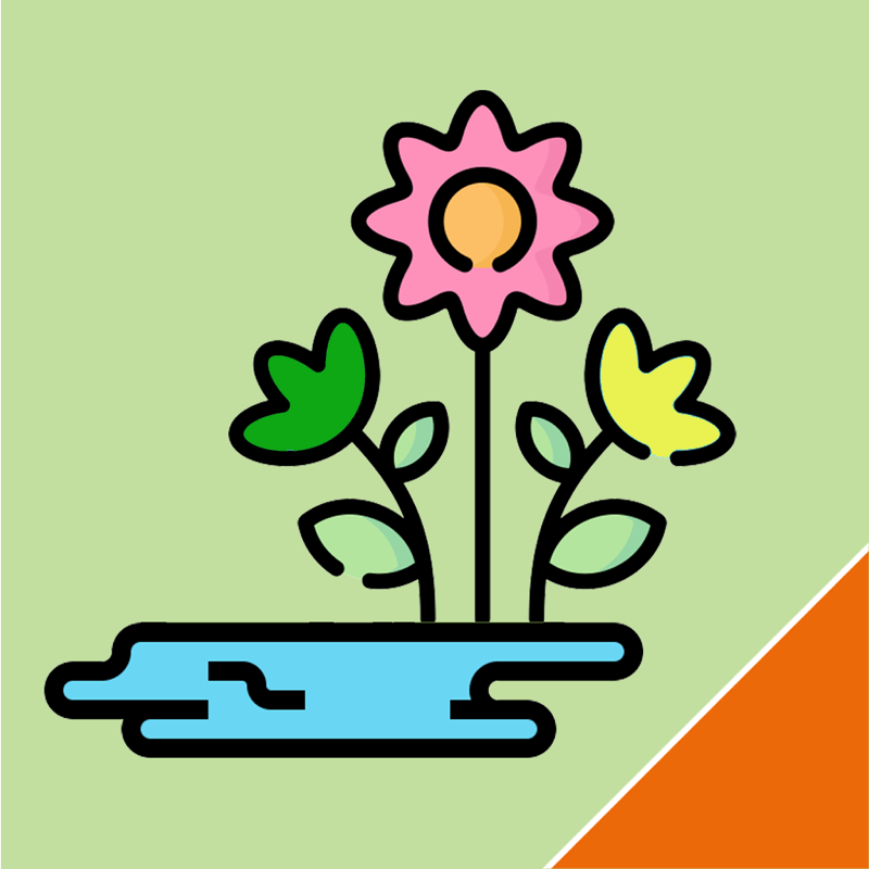 Bachblüten Lexikon