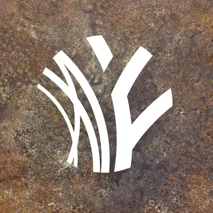 FONTANA Читы