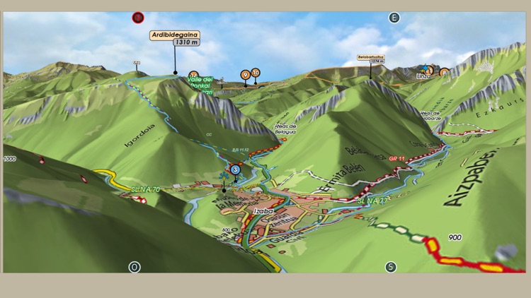 Belagua y Zuriza 1.25 000