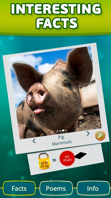 Funny geneticist: zoo mutants