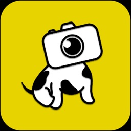Pawparazzi