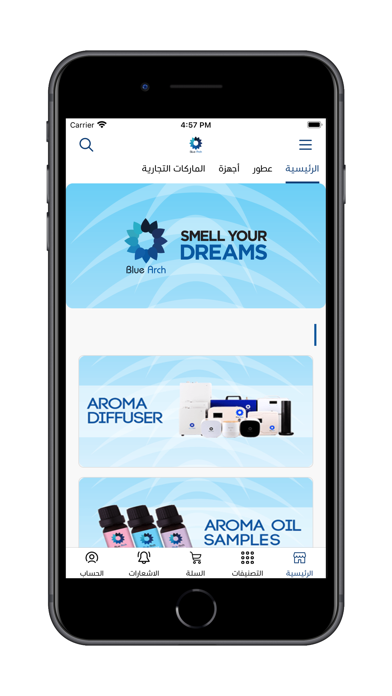 Blue Arch Store Screenshot